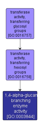 GO:0003844 - 1,4-alpha-glucan branching enzyme activity (interactive image map)