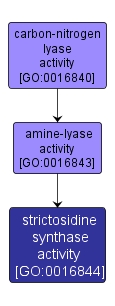 GO:0016844 - strictosidine synthase activity (interactive image map)