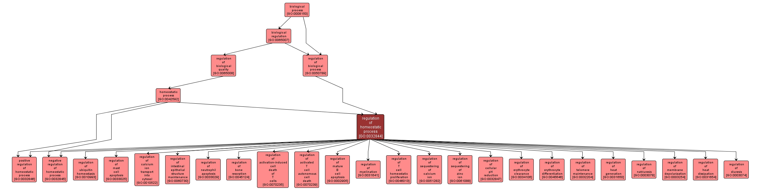 GO:0032844 - regulation of homeostatic process (interactive image map)