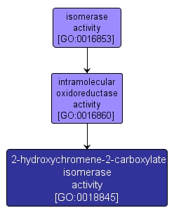 GO:0018845 - 2-hydroxychromene-2-carboxylate isomerase activity (interactive image map)