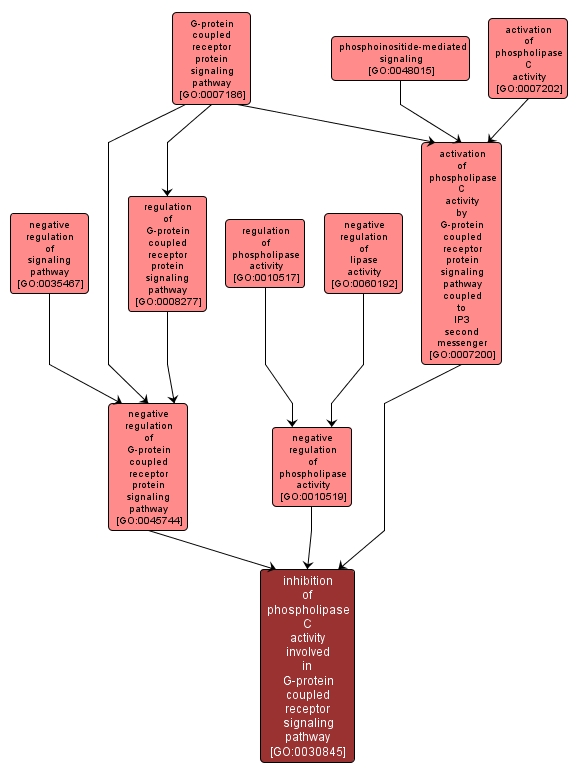 GO:0030845 - inhibition of phospholipase C activity involved in G-protein coupled receptor signaling pathway (interactive image map)