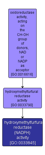 GO:0033845 - hydroxymethylfurfural reductase (NADPH) activity (interactive image map)
