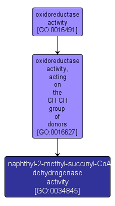 GO:0034845 - naphthyl-2-methyl-succinyl-CoA dehydrogenase activity (interactive image map)