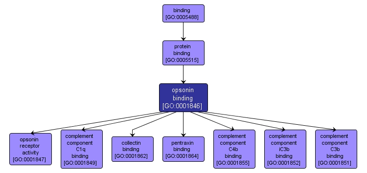 GO:0001846 - opsonin binding (interactive image map)
