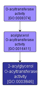 GO:0003846 - 2-acylglycerol O-acyltransferase activity (interactive image map)