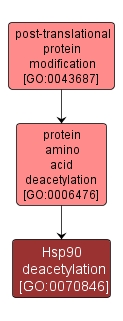 GO:0070846 - Hsp90 deacetylation (interactive image map)