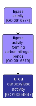 GO:0004847 - urea carboxylase activity (interactive image map)