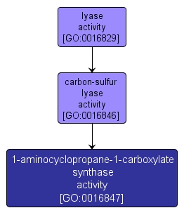 GO:0016847 - 1-aminocyclopropane-1-carboxylate synthase activity (interactive image map)
