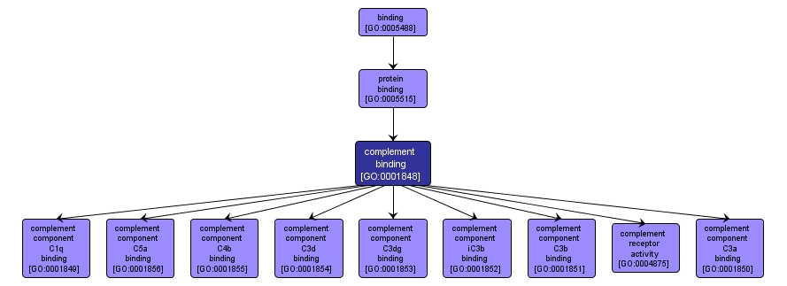 GO:0001848 - complement binding (interactive image map)