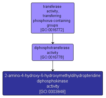 GO:0003848 - 2-amino-4-hydroxy-6-hydroxymethyldihydropteridine diphosphokinase activity (interactive image map)