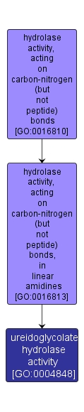 GO:0004848 - ureidoglycolate hydrolase activity (interactive image map)