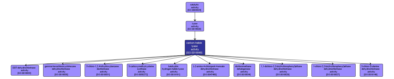 GO:0016848 - carbon-halide lyase activity (interactive image map)