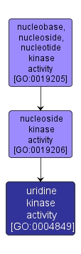GO:0004849 - uridine kinase activity (interactive image map)