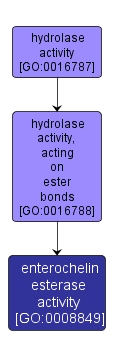 GO:0008849 - enterochelin esterase activity (interactive image map)