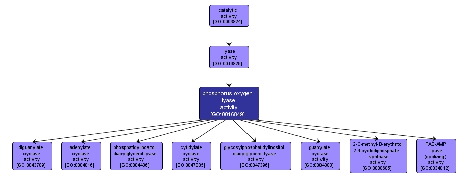 GO:0016849 - phosphorus-oxygen lyase activity (interactive image map)