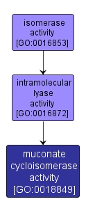 GO:0018849 - muconate cycloisomerase activity (interactive image map)