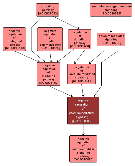 GO:0050849 - negative regulation of calcium-mediated signaling (interactive image map)