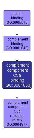 GO:0001850 - complement component C3a binding (interactive image map)