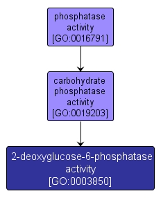 GO:0003850 - 2-deoxyglucose-6-phosphatase activity (interactive image map)