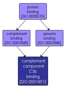 GO:0001851 - complement component C3b binding (interactive image map)