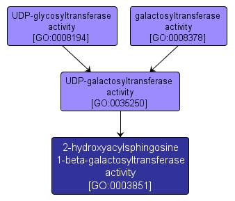 GO:0003851 - 2-hydroxyacylsphingosine 1-beta-galactosyltransferase activity (interactive image map)