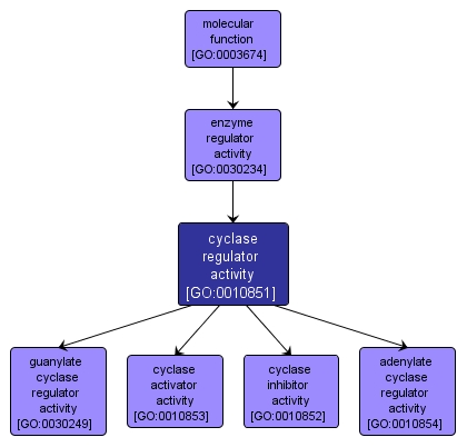 GO:0010851 - cyclase regulator activity (interactive image map)