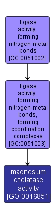 GO:0016851 - magnesium chelatase activity (interactive image map)