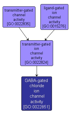 GO:0022851 - GABA-gated chloride ion channel activity (interactive image map)
