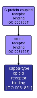 GO:0031851 - kappa-type opioid receptor binding (interactive image map)