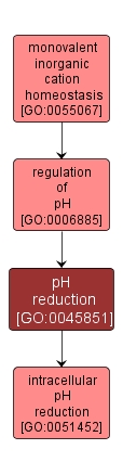 GO:0045851 - pH reduction (interactive image map)