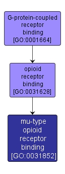 GO:0031852 - mu-type opioid receptor binding (interactive image map)