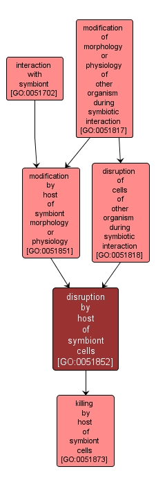 GO:0051852 - disruption by host of symbiont cells (interactive image map)
