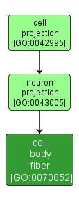 GO:0070852 - cell body fiber (interactive image map)