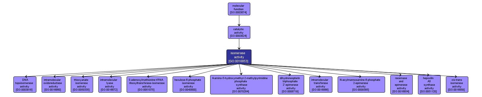 GO:0016853 - isomerase activity (interactive image map)