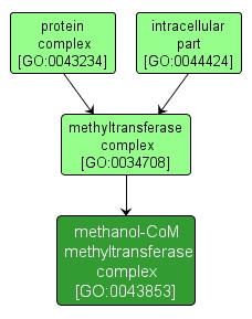 GO:0043853 - methanol-CoM methyltransferase complex (interactive image map)
