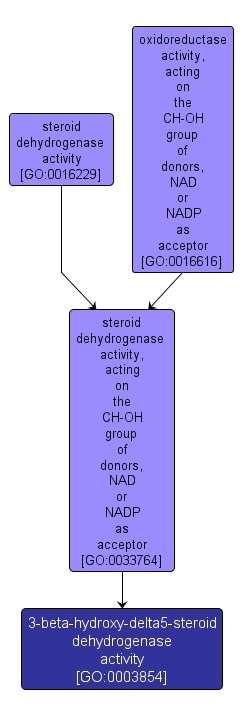 GO:0003854 - 3-beta-hydroxy-delta5-steroid dehydrogenase activity (interactive image map)