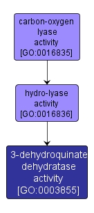 GO:0003855 - 3-dehydroquinate dehydratase activity (interactive image map)