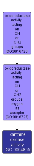 GO:0004855 - xanthine oxidase activity (interactive image map)