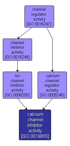 GO:0019855 - calcium channel inhibitor activity (interactive image map)