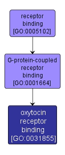 GO:0031855 - oxytocin receptor binding (interactive image map)