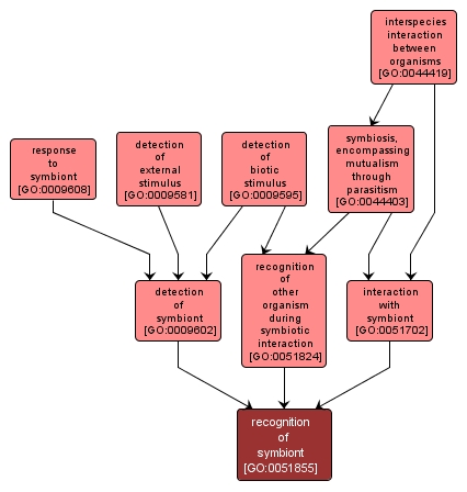 GO:0051855 - recognition of symbiont (interactive image map)