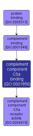 GO:0001856 - complement component C5a binding (interactive image map)