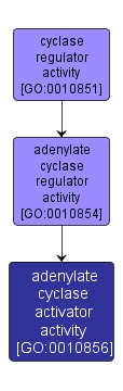 GO:0010856 - adenylate cyclase activator activity (interactive image map)