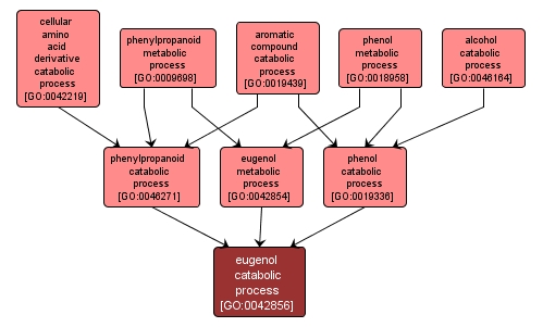 GO:0042856 - eugenol catabolic process (interactive image map)