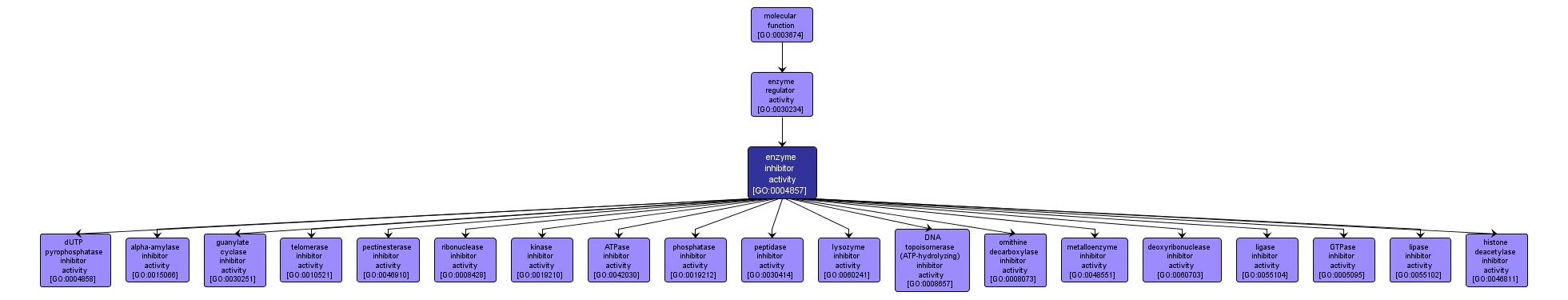 GO:0004857 - enzyme inhibitor activity (interactive image map)