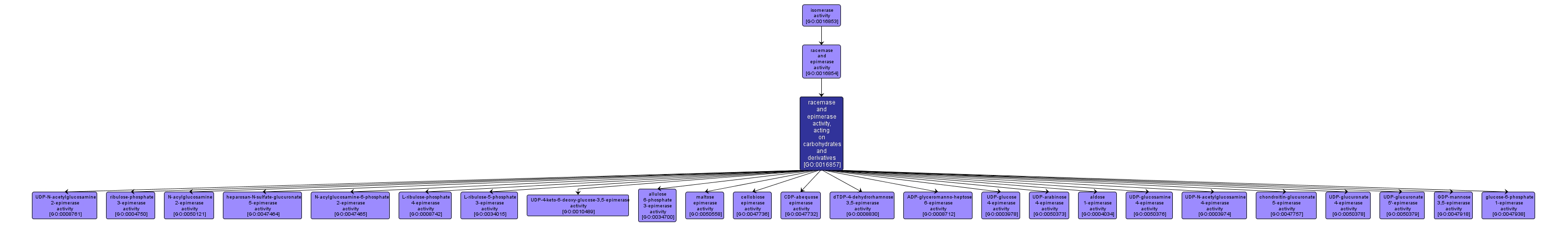 GO:0016857 - racemase and epimerase activity, acting on carbohydrates and derivatives (interactive image map)