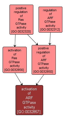 GO:0032857 - activation of ARF GTPase activity (interactive image map)