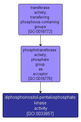 GO:0033857 - diphosphoinositol-pentakisphosphate kinase activity (interactive image map)