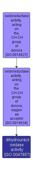 GO:0047857 - dihydrouracil oxidase activity (interactive image map)