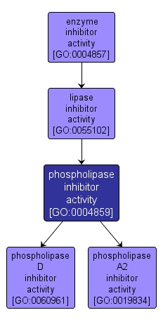 GO:0004859 - phospholipase inhibitor activity (interactive image map)